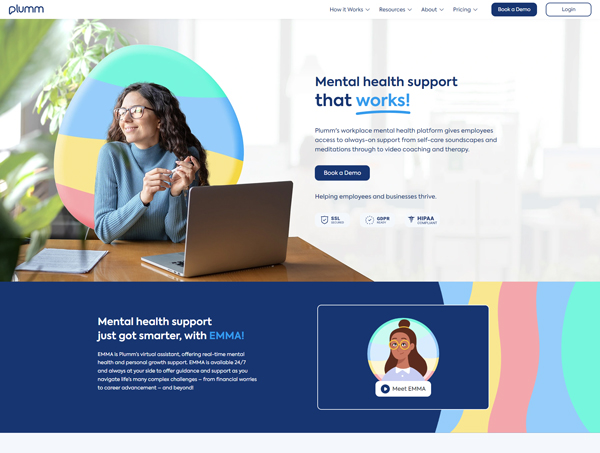 Plummhealth business